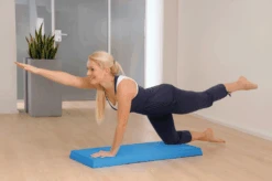 Sissel Balancefit Pad LARGE Ideal Für Die Gleichgewichtsschulung -Coloplast Verkaufsgeschäft Balancefit Pad LARGE Anwend 3