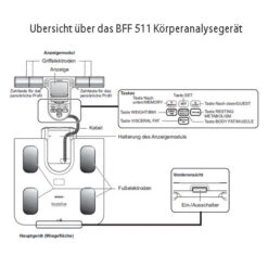 Omron BF 511, Farbe Blau, Personenwaage Mit Körperfettmessgerät, Körperanalysegerät Bis Zu Einem Gewicht Von 150 Kg -Coloplast Verkaufsgeschäft Uebersicht BFF 511 2