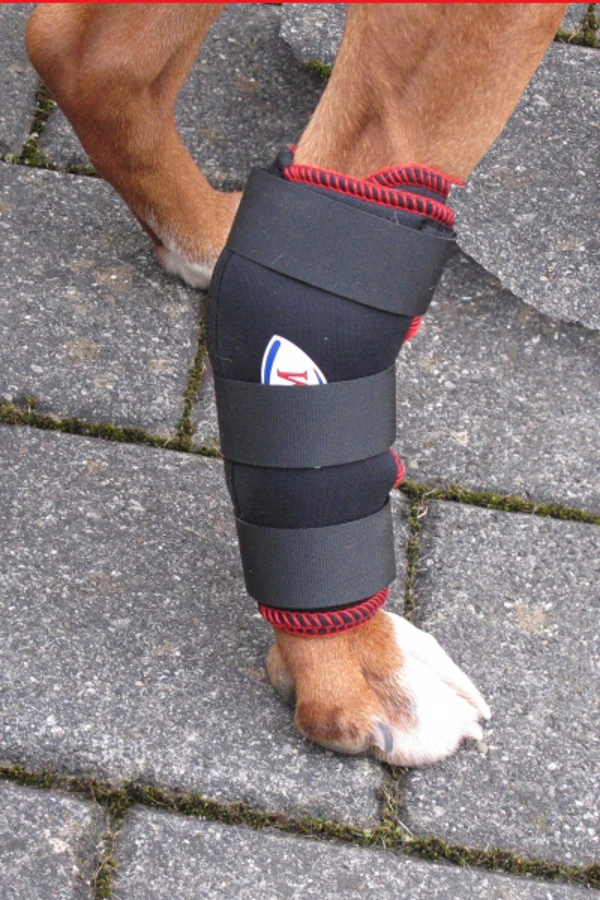 TSM Vet-Reha-Bandage Hinterbein Ihres Hundes 3 TSM Vet-Reha-Bandage Hinterbein Ihres Hundes