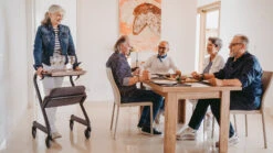 Saljol Wohnraumrollator, WR52, Mit Handbremse, Inkl. Sitzbrett, Velvet Grau, Indoor Rollator -Coloplast Verkaufsgeschäft saljol wohnraumrollator anwendung Zubehoer